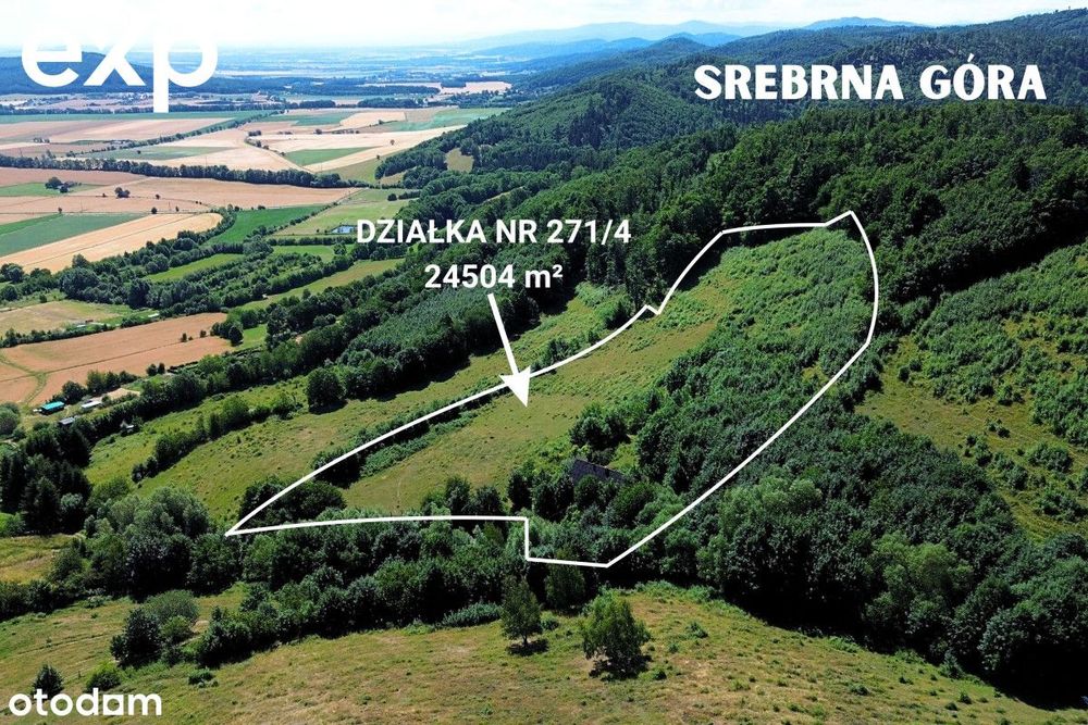 Super inwestycja, Srebrna Góra