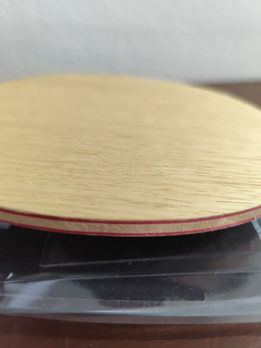 Tenis mesa Madeira Yasaka Falck W7