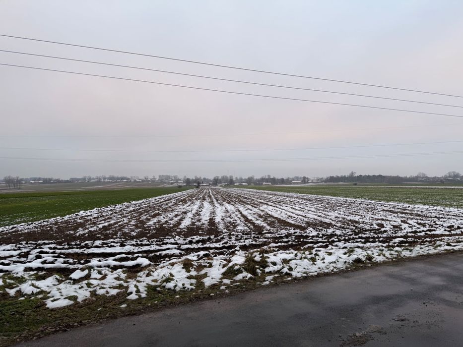 Na sprzedaż działka siedliskowa 1,92 ha Drzewce