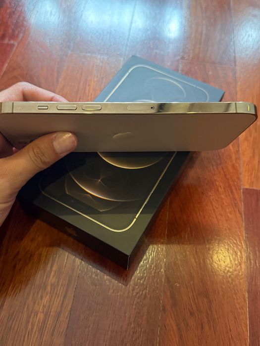 iPhone 12 Pro Max 256gb + Capas