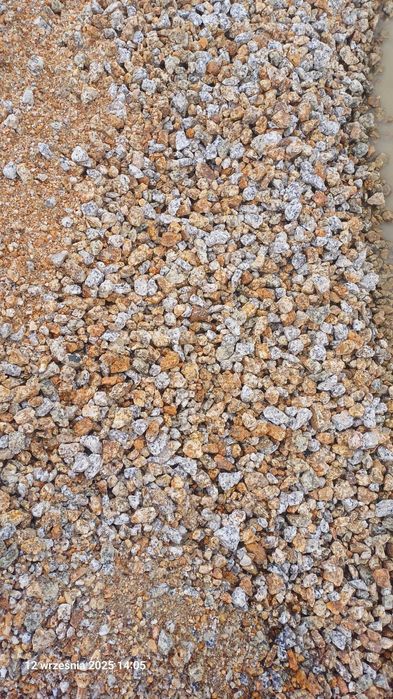 Pomiot kurzy duże ilości