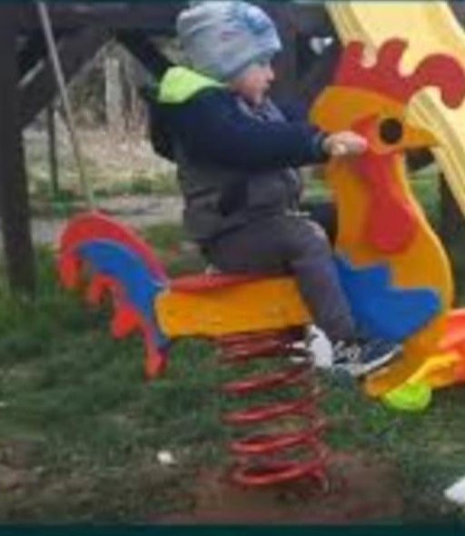 Bujak do sprężyny, kogut