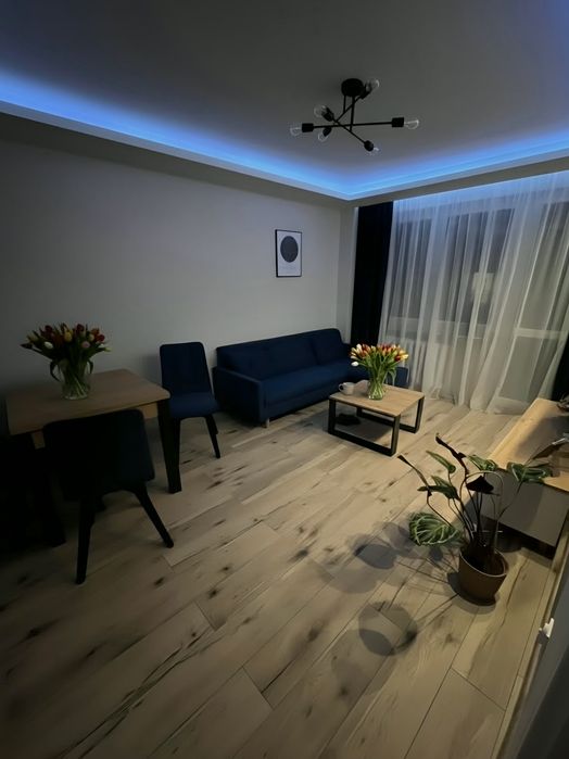 Mieszkanie dwupokojowe w centrum miasta