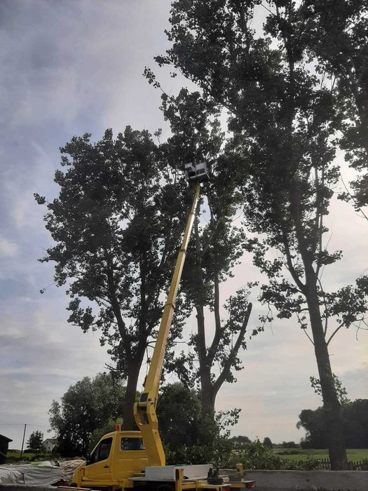 Wycinka drzew,rębak,mulczowanie, podnośnik,czyszczenie działek