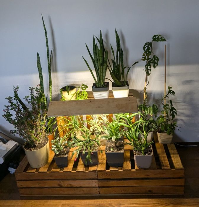 Stojak na kwiaty, kwietnik, lampa do roślin, doświetlanie