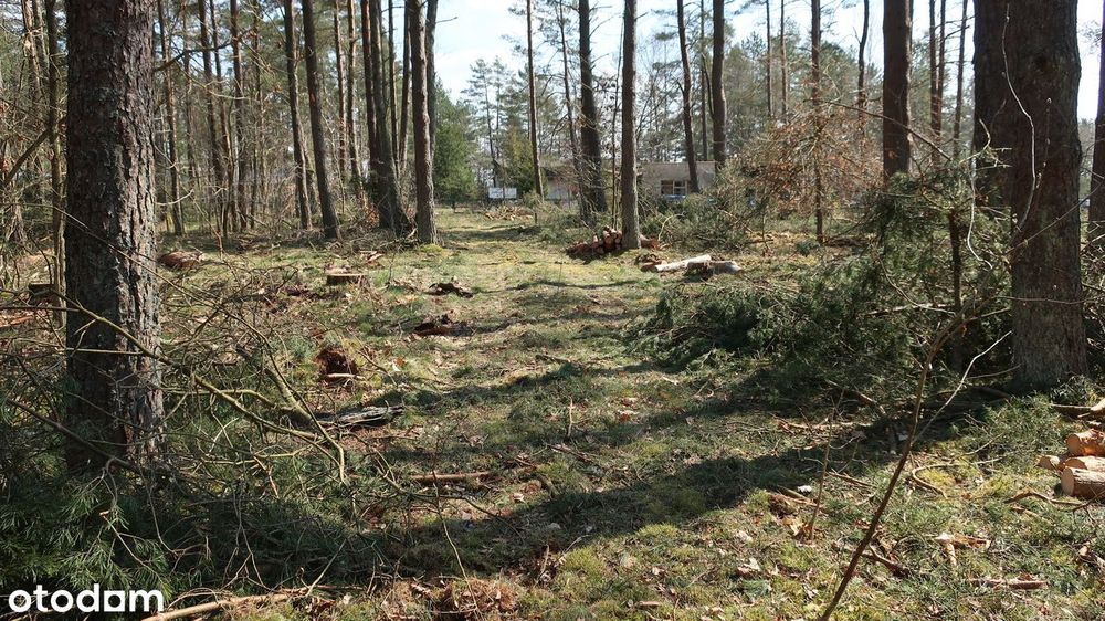 sprzedam działkę rekreacyjną nad jeziorem Jasień