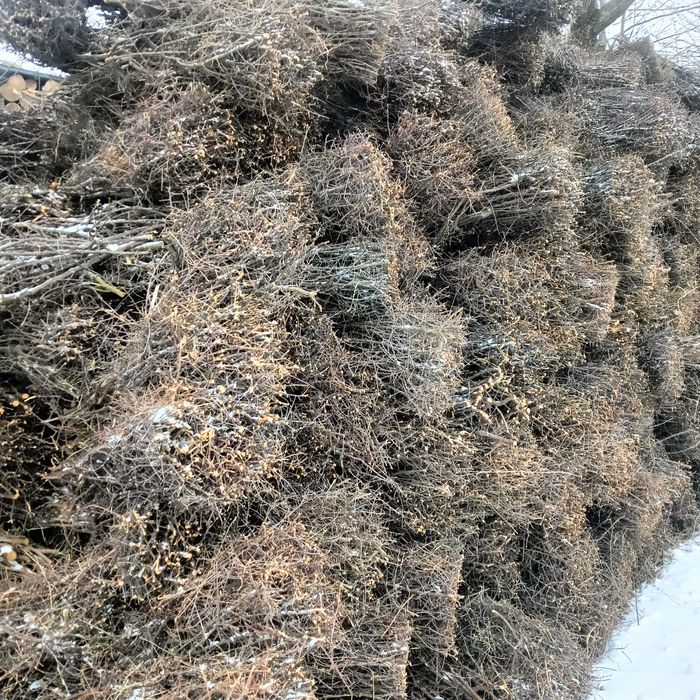 Montaż, układanie tarniny. Cała Polska