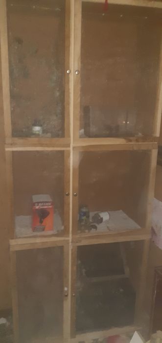 Terrarium dla owadów i nie tylko