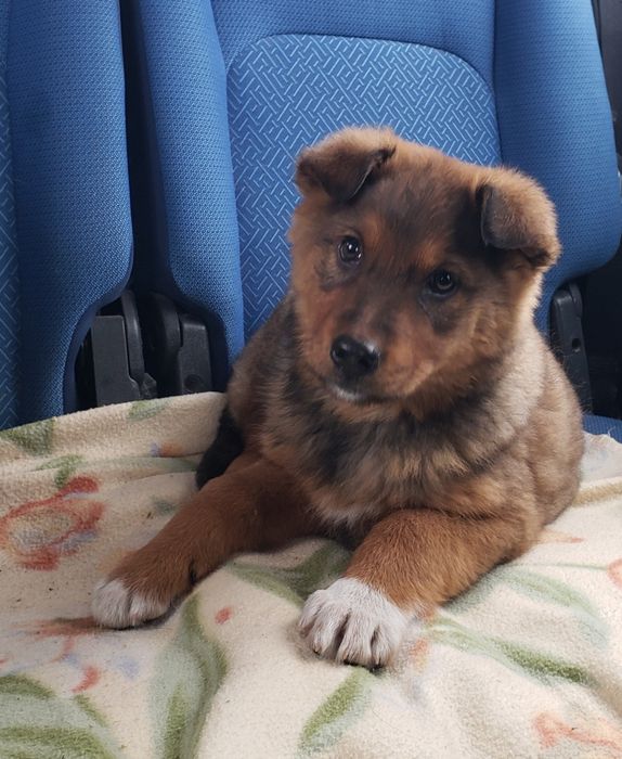 Малыш в хорошие руки!