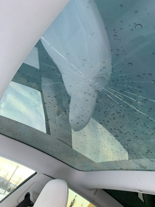 Tesla Model 3 LR DM 2018