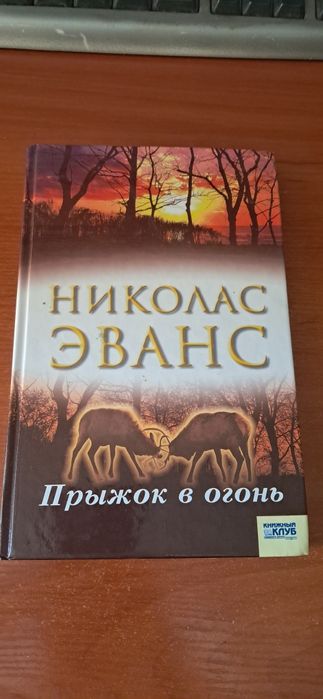 Н. Эванс. Прыжок в Огонь
