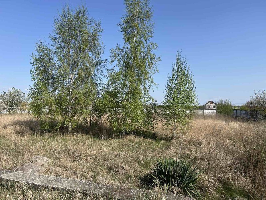 Земля в селі Руська Поляна