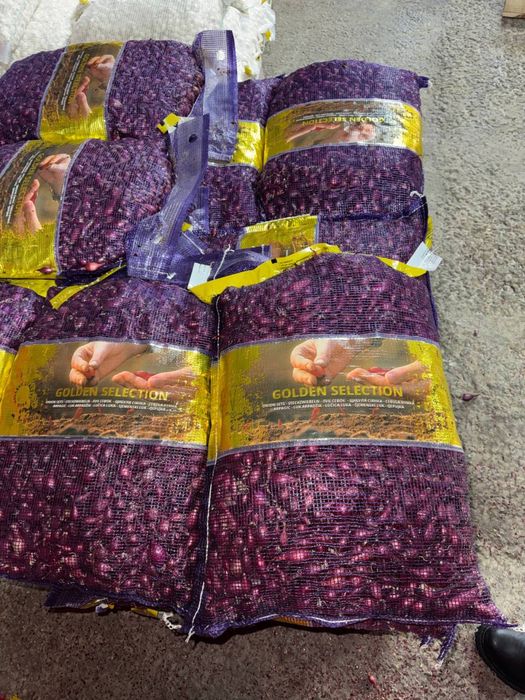 Цибуля червона, Red Baron10/21, тиканка, саджанка, арпаж TOP Голандія