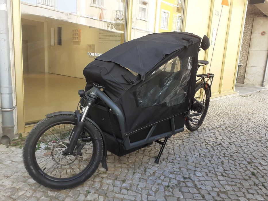 Riese & Müller Load 75 Vario - bicicleta de carga elétrica