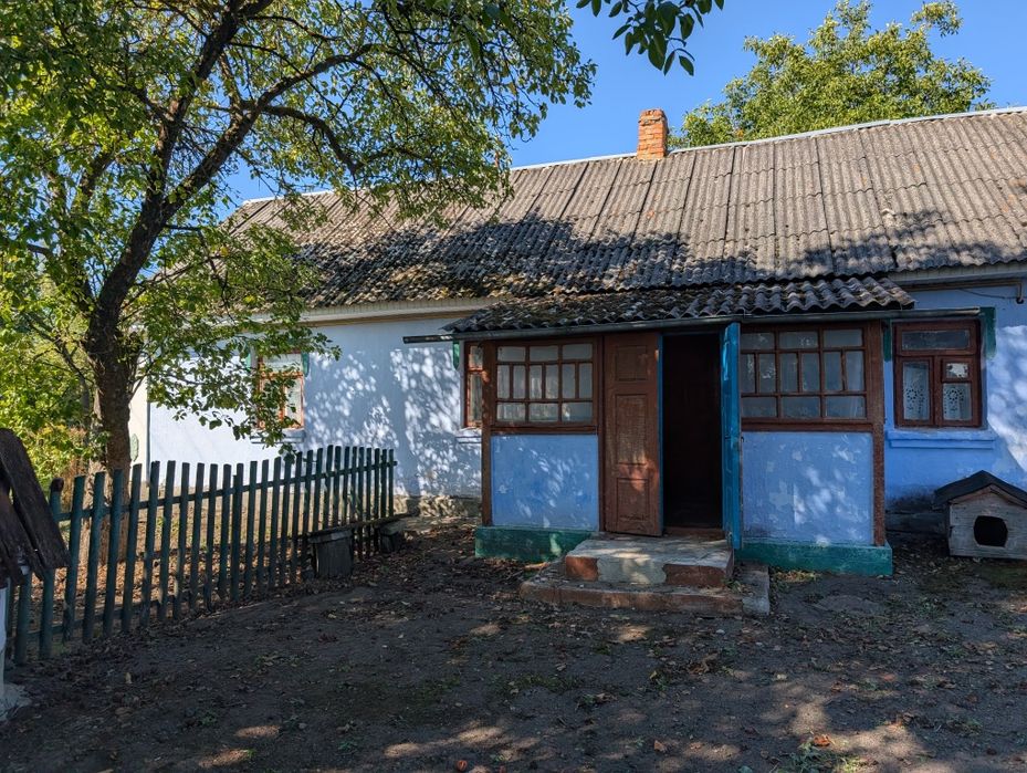Продам будинок с. Копиткове