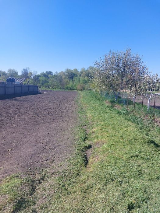 Земельна ділянка в с-щі Шишаки