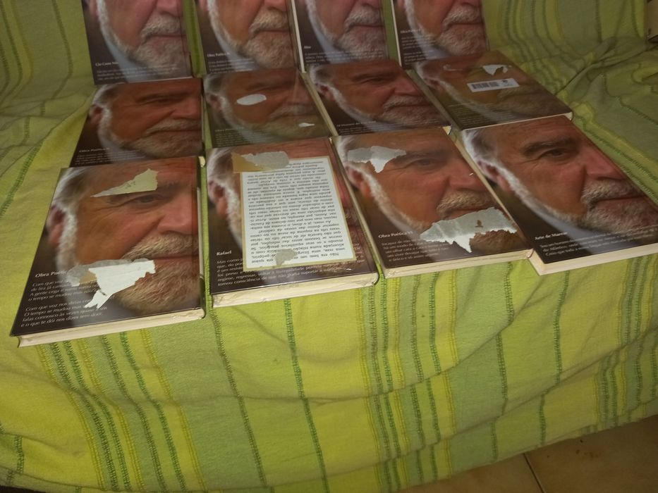 Biblioteca Manuel Alegre