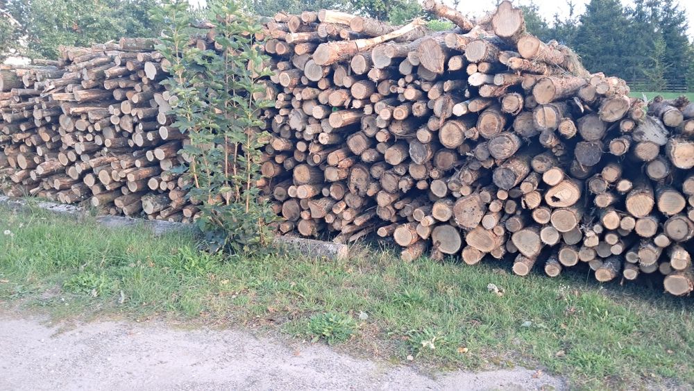 Drewno opałowe dąb. Opał