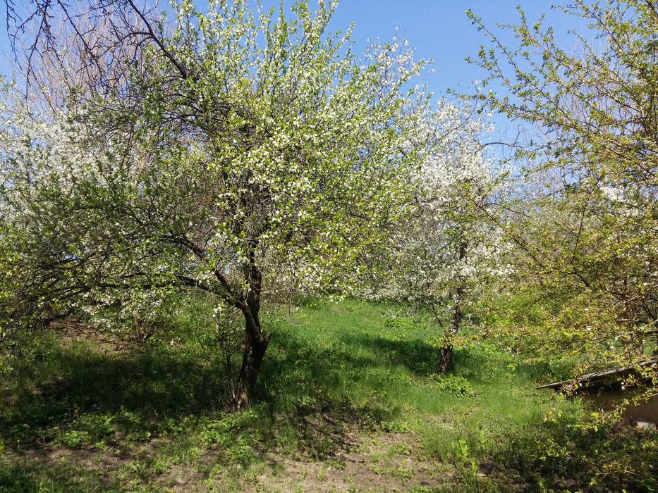 Продам земельну ділянку