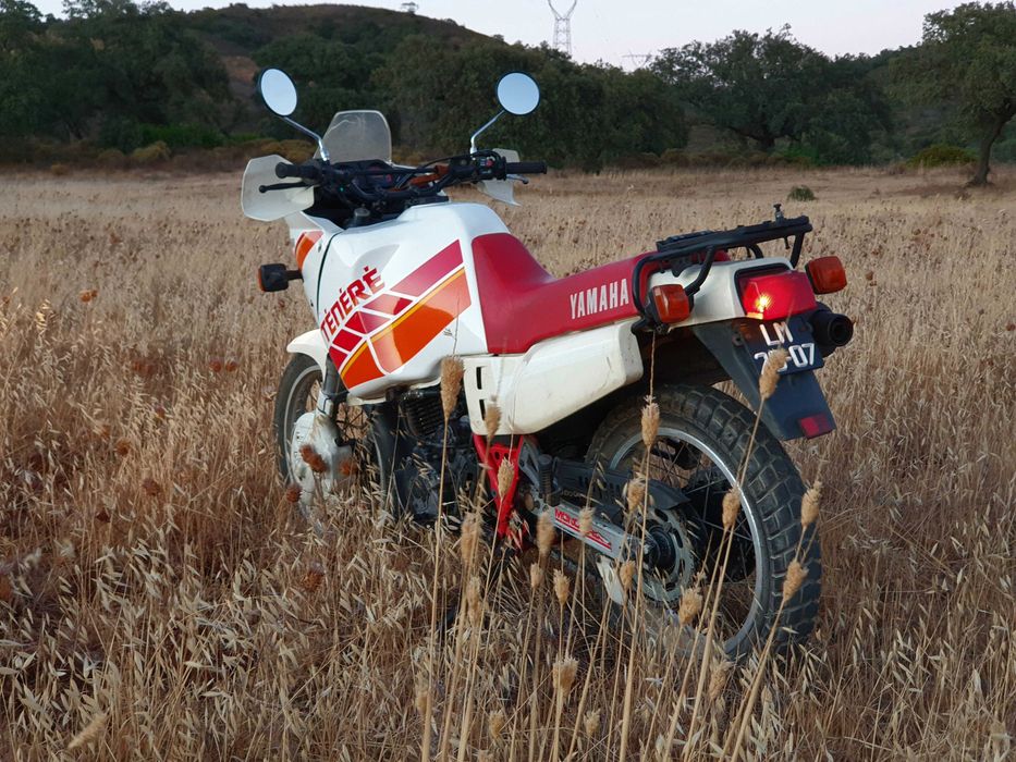1989 Yamaha Ténéré 600 (3aj)