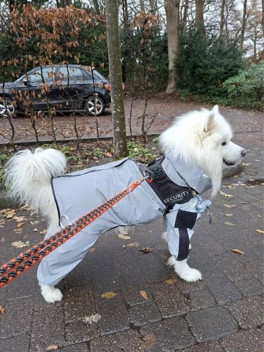 Світловідбиваючий дощовик для великих собак