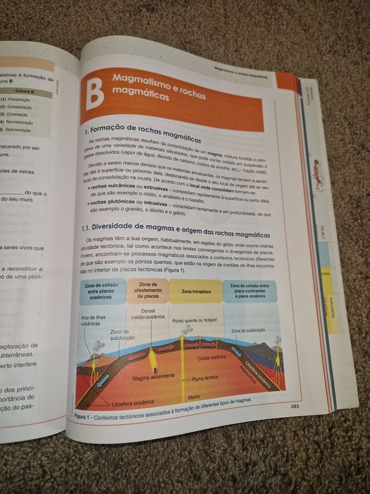 Preparar o exame nacional Biologia e Geologia 11°ano