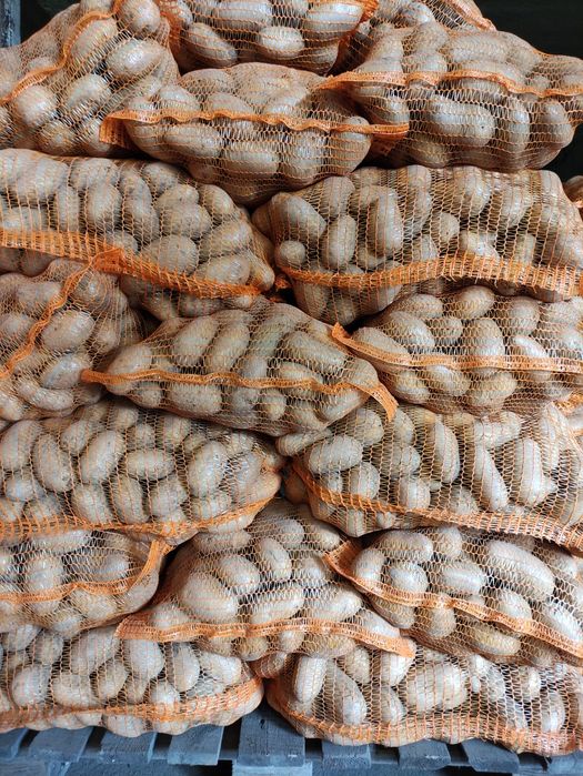 Sprzedam  ziemniaki jadalne