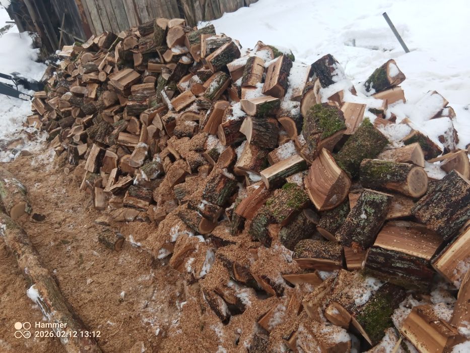 Sprzedam deba mokrego