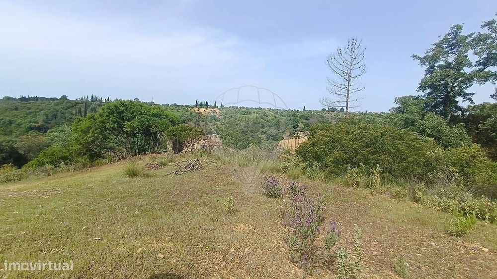 Terreno  para venda