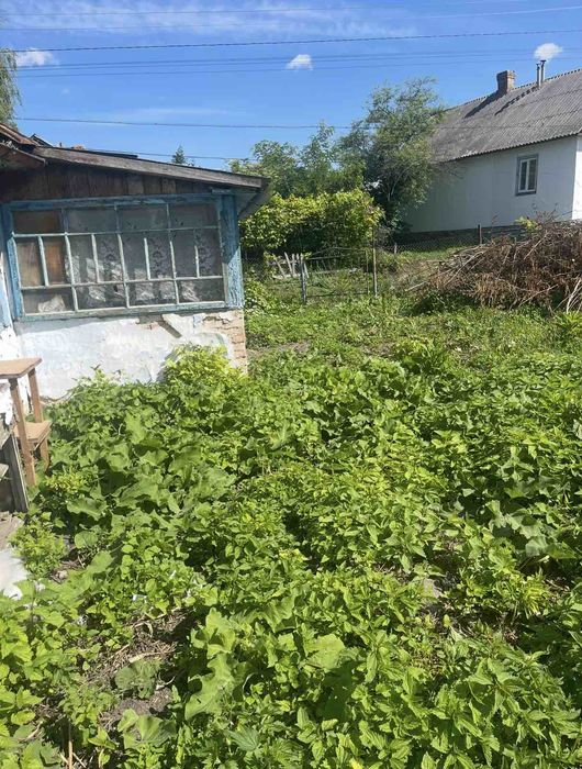 Продам будинок у с.Гоща