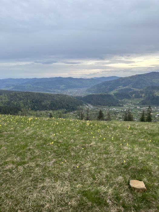 Яремче оренда котеджа подобово Котедж2 «Біля водоспаду» для 2-4х осіб