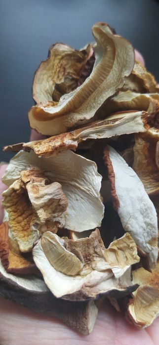 Grzyby suszone prawdziwki