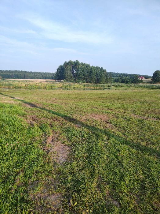 Miejsce pod namiot nad samym jeziorem – cisza, natura i wędkowanie