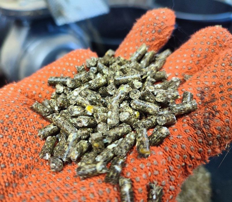 У продажу є кролики різних порід та полнораціонний комбікорм