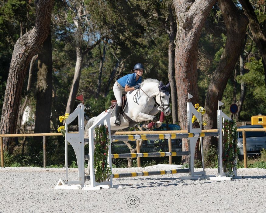 Cavalo de obstaculos BWP