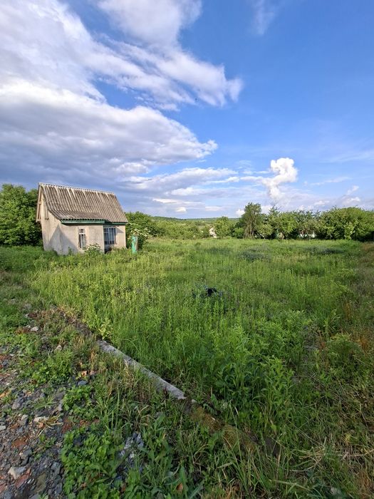 Фото ділянки