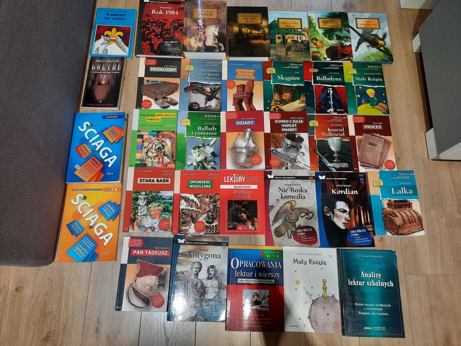 Lektury szkolne liceum/technikum/szkoła podstawowa z opracowaniem GREG