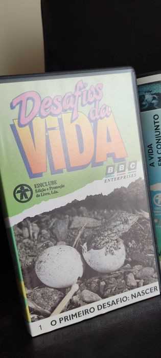 Desafios da Vida