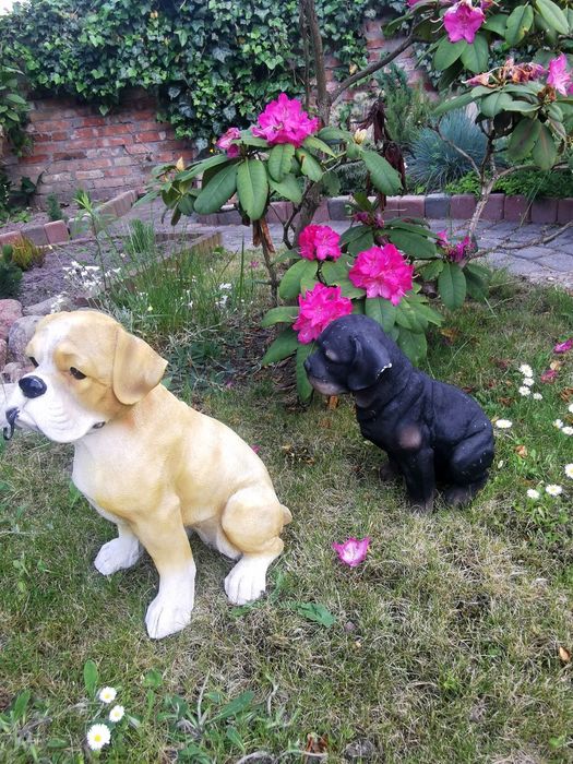 Figurki ogrodowe Psy Bokser i Rottweiler z haczykami – solidne 30 i 40cm