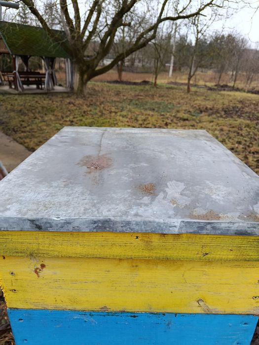 Вулик Дадан 10 рамок 300 + 145