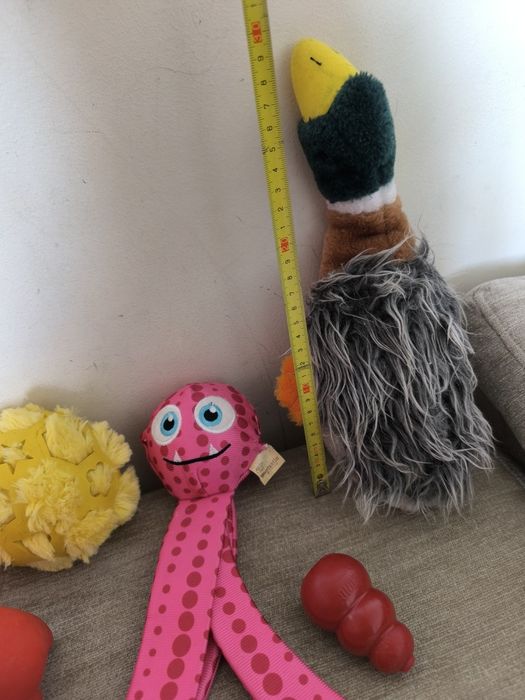 Конг Kong Игрушка для собак тварин собаки собачки животных тварини kon