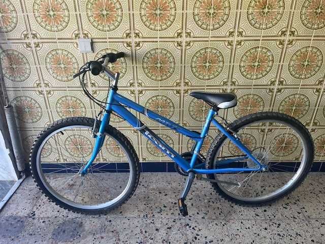 Bicicleta de mulher