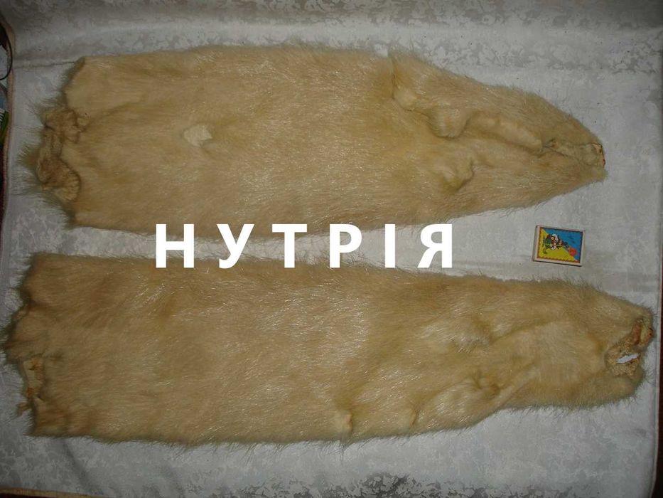 Мех/ХУТРО натуральне, НЕ фарбоване - НОРКА коричнева і НУТРІЯ бежева