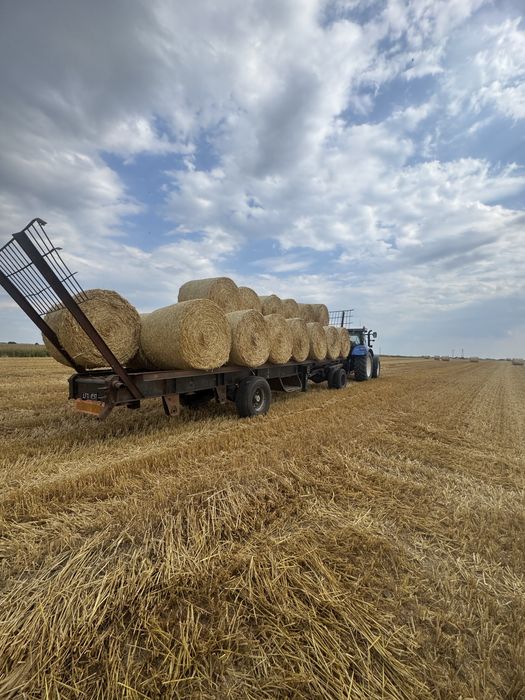 Słoma jeczmienna,belka 120