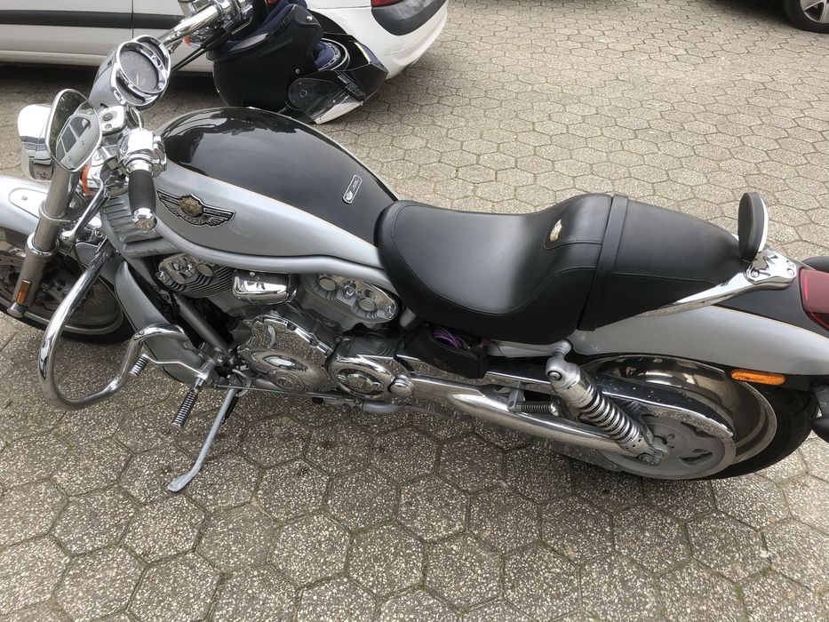 Venda harley v-rod