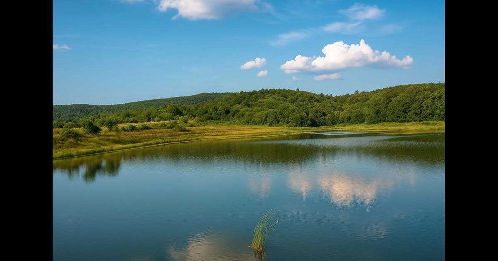 Продажа гидросооружения, водоема. Закарпатье.