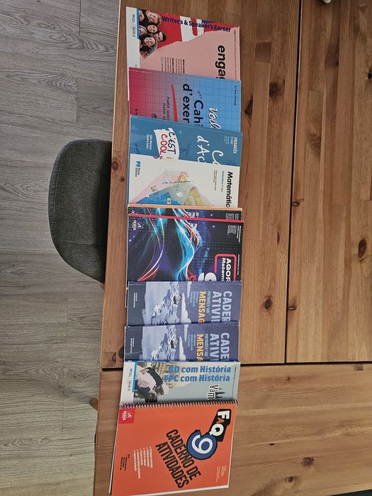 Cadernos de atividades 9 ano
