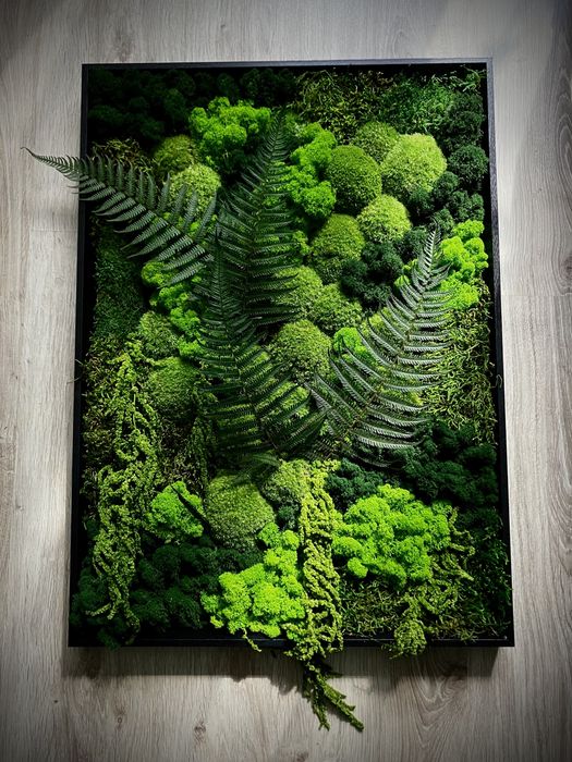 Mech Chrobotek w ramie 50 x 70cm lub 60 x 90cm różne rozmiary