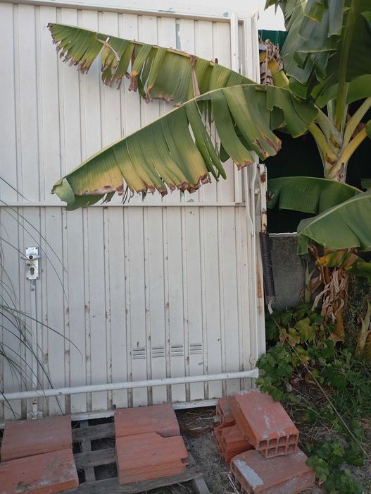 Vendo Portão Basculante com 2,10m de altura e 2,30m de largura