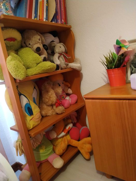 Quarto Evolutivo Micuna